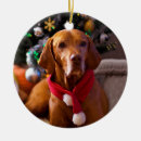 Search for vizsla christmas tree decorations Dog