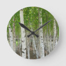 Search for tree trunk clocks Bark