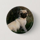 Search for mop badges 12 weeks