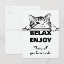 Search for “cat postcards For pets