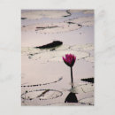 Search for cambodia postcards Water