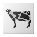 Search for black white cow tiles Cows