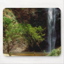 Search for wilder mousepads Jungle