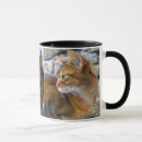 Search for abyssinian cat mugs Kitten