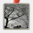 Search for branch christmas tree decorations Couple