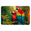 Search for parrot magnets Macaw