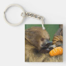 Search for sloths key rings Wildlife