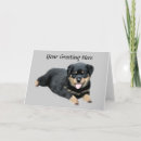 Search for christmas congratulations cards Encouragement