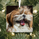 Search for laugh christmas tree decorations Silly