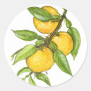 Search for edibles stickers Fruit