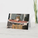Search for bbq photo cards Humour