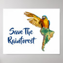 Search for rainforest posters Amazon