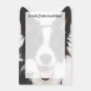 Search for getty Border collie