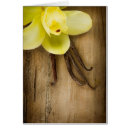 Search for pod postcards Black