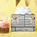 Search for warp wrapping paper Cute