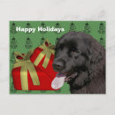 Search for newfie christmas cards Cute