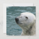 Search for profile invitations Animal