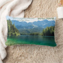 Search for mountain cushions Lake