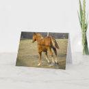 Search for galloping cards Equine