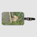 Search for chipmunks travel accessories Animal