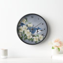 Search for bluejays Animals