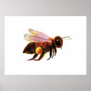 Search for honey bee art Bug