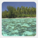 Search for polynesia stickers Coastal
