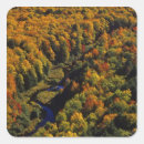 Search for porcupines stickers Landscape