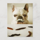 Search for moustached postcards Puppy