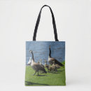 Search for goslings bags Nature