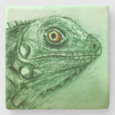 Search for lizard pet coasters Wild