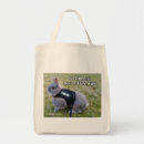 Search for adopting accessories Cute