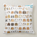 Search for guinea pig cushions Piggy