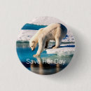 Search for save polar bears badges Environment