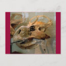 Search for dinosaur skeleton postcards Bones