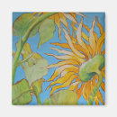 Search for sunflower magnets Orange