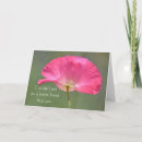 Search for sentimental photography Pink