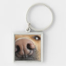 Search for noses key rings Domestic animals