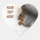 Search for squirrel with nuts stickers Animal
