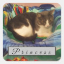 Search for grey and white cat stickers Kitty