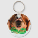 Search for companions key rings Funny
