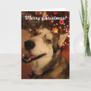 Search for husky christmas cards Puppy