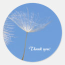 Search for blue dandelion stickers Thank you