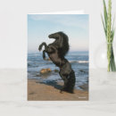 Search for stallion cards Black