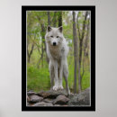 Search for howling dog posters Nature