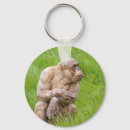 Search for balding key rings Hairless