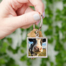 Search for holstein cow key rings Grazing