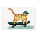 Search for kittie magnets Cats
