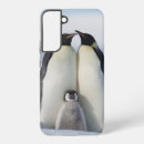 Search for cold cases Penguin