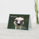 Search for ostrich cards Smile